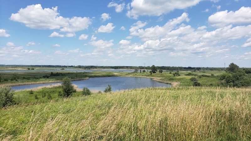 Goose Lake Prairie State Natural Area, Morris