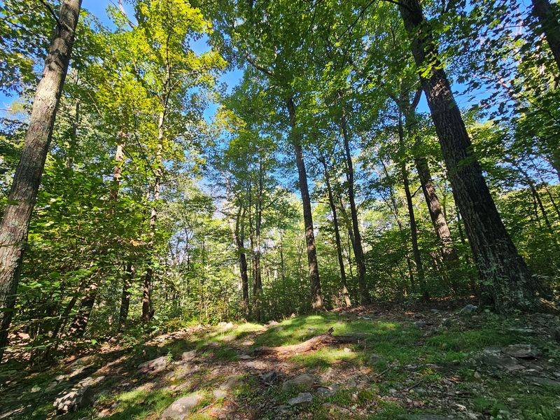 Newton B. Drury Scenic Parkway: Choose a Car-Free Day