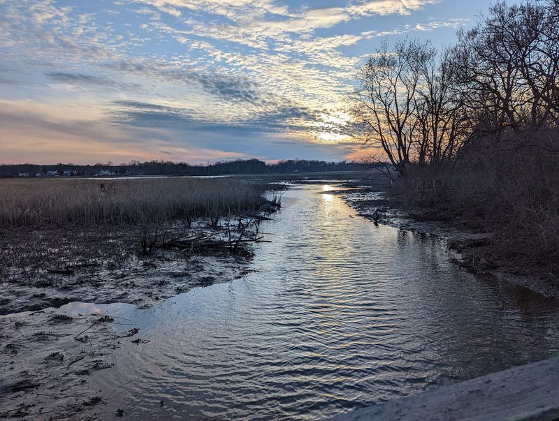 Pennington Park: Finish With Creekside Views