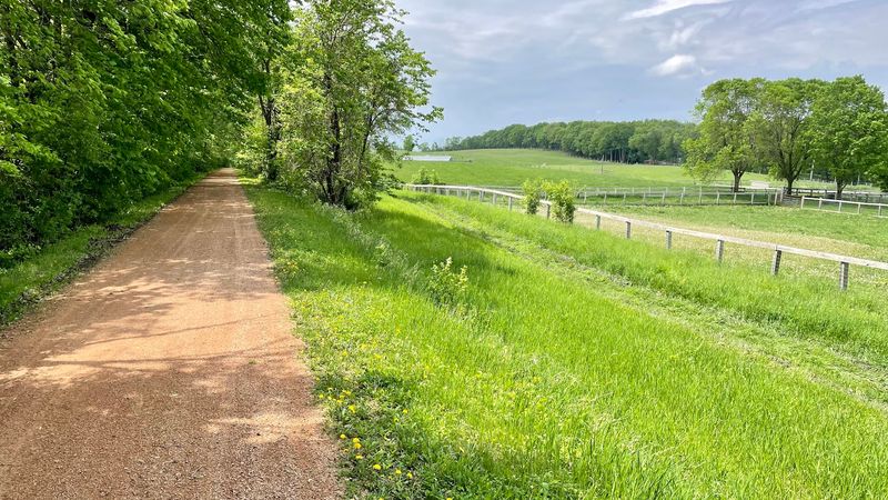 Luce Line State Trail: From Suburban Woods to Prairie