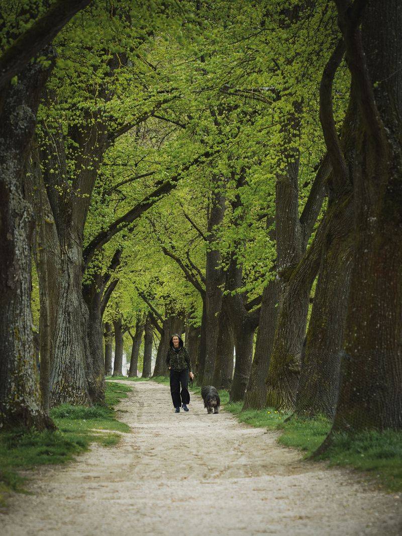 Shaded Routes Can Make Warm Days More Manageable