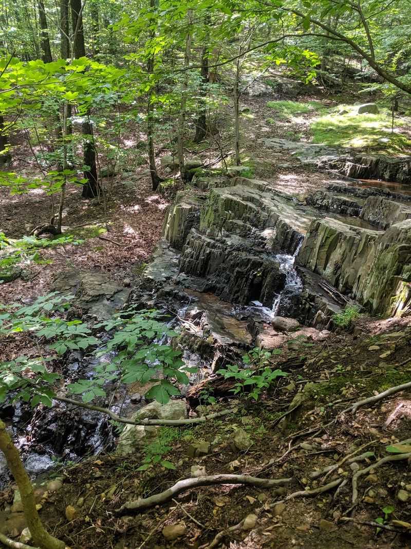 High Mountain Park Preserve: Seek the Seasonal Water