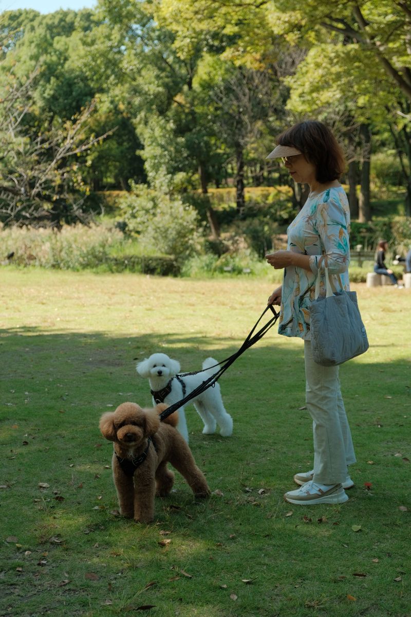 Dog Parks Cannot Replace Regular Walks