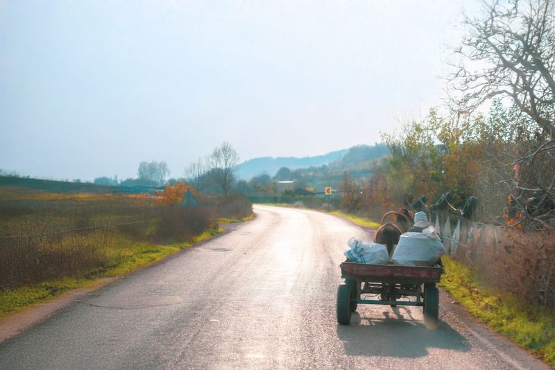 Give Buggies Plenty of Room on Narrow Roads