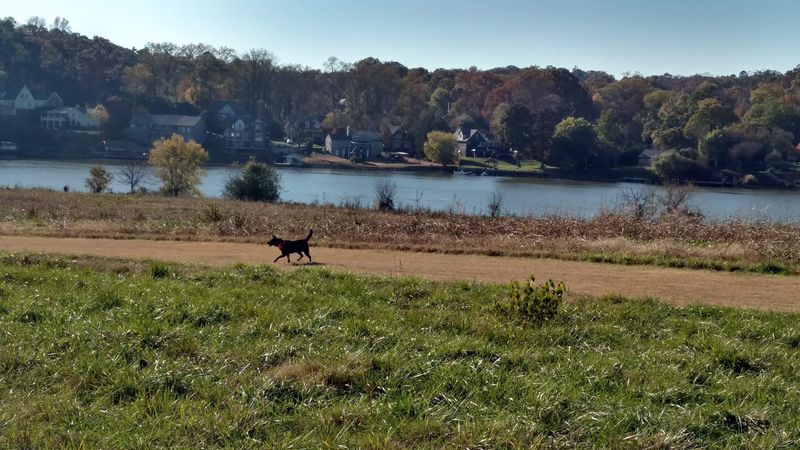 Knox-Blount Greenway, Knoxville: Follow the Shoreline