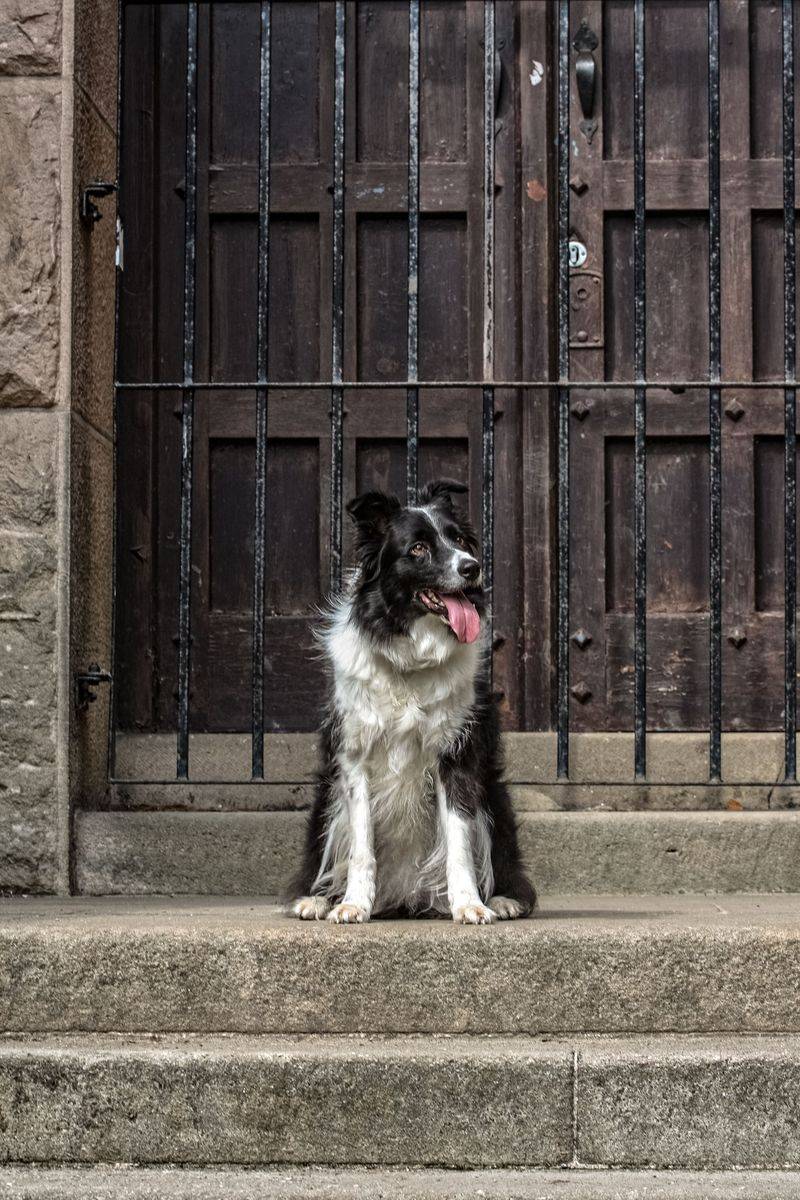 Polite at Gates and Doors