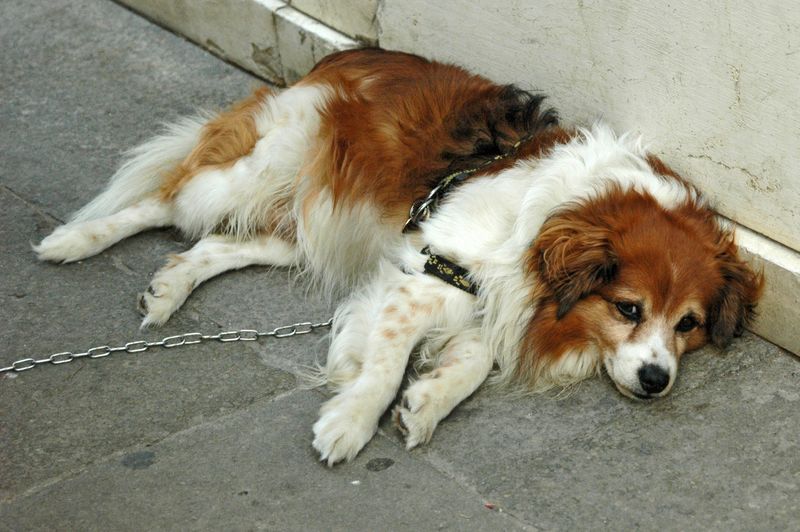 The Unnecessary Suffering Rule