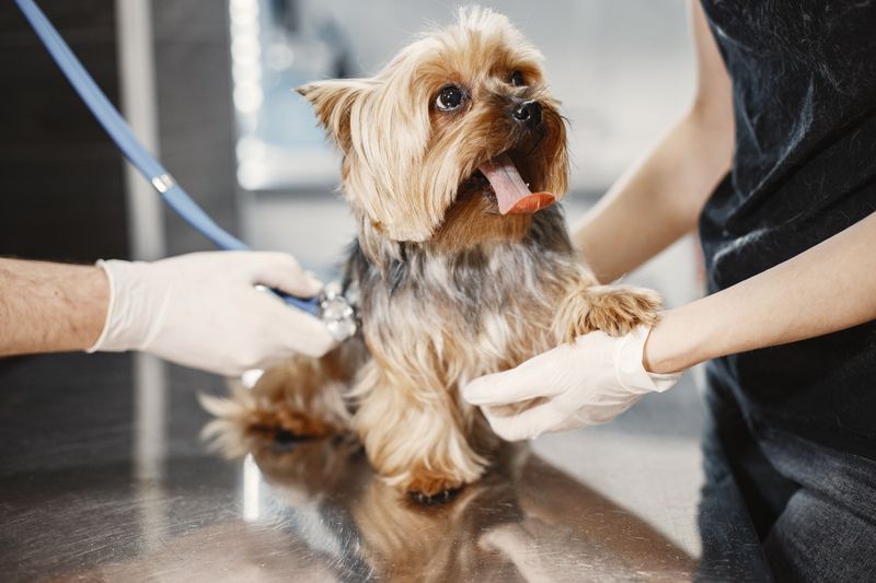 Watch for Signs of Contagious Illness