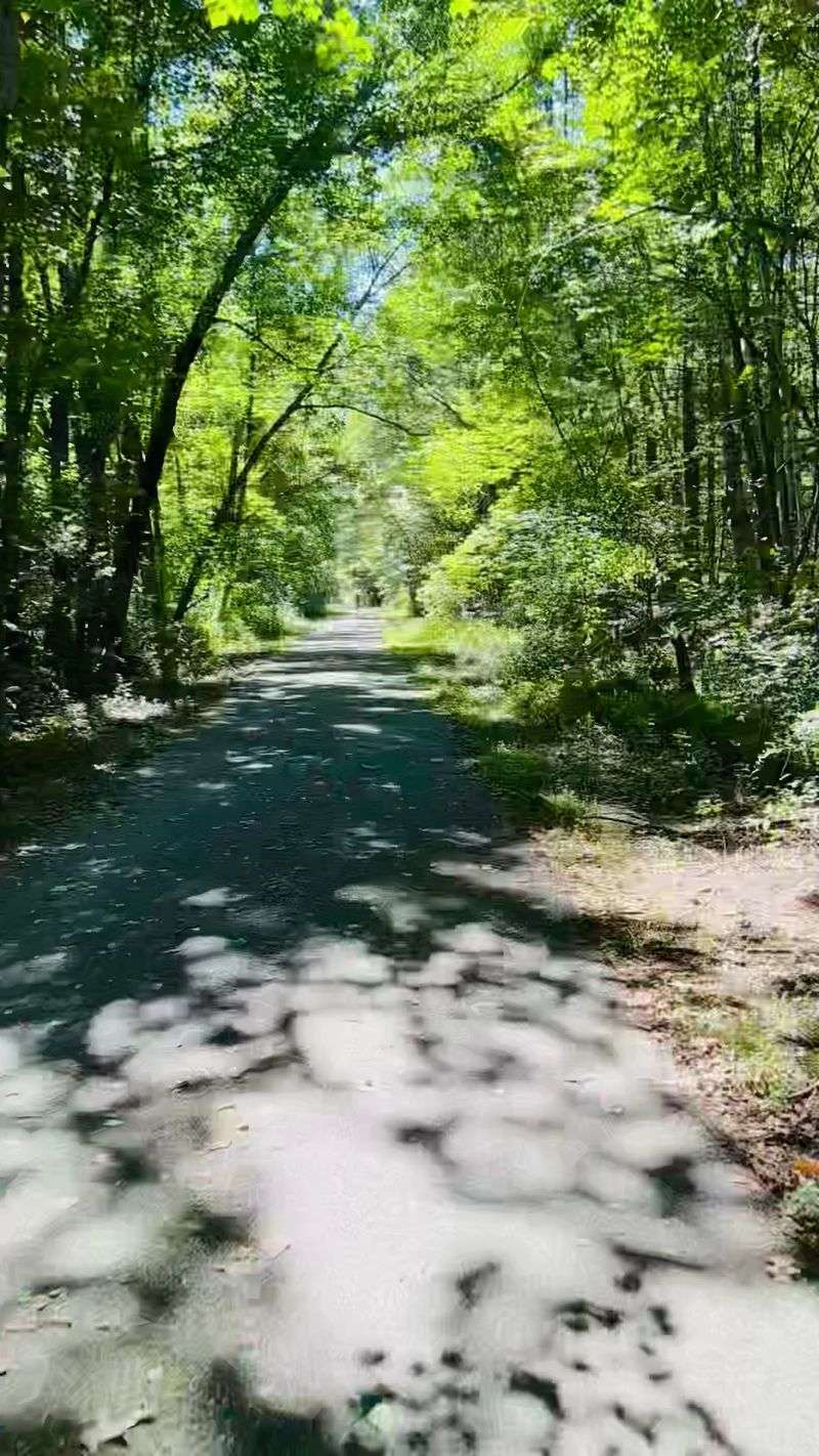 Nashua River Rail Trail: Settle Into a Shaded Rhythm