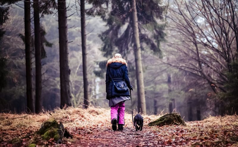 Follow the Established Path