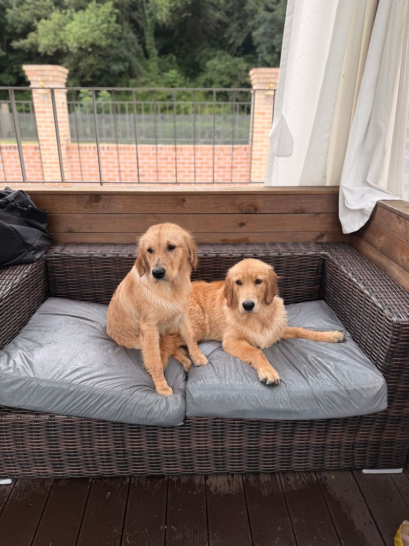Porch Furniture Needs Covers or Washable Cushions