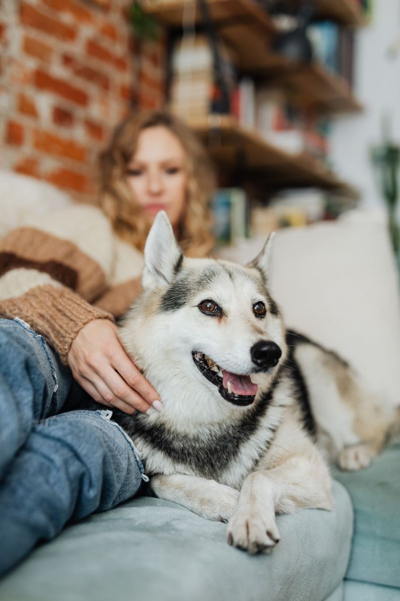 Pet Sitters for Late Nights and Surprises