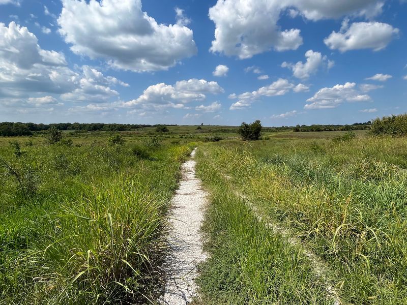 Twenty-Five Mile Prairie Conservation Area