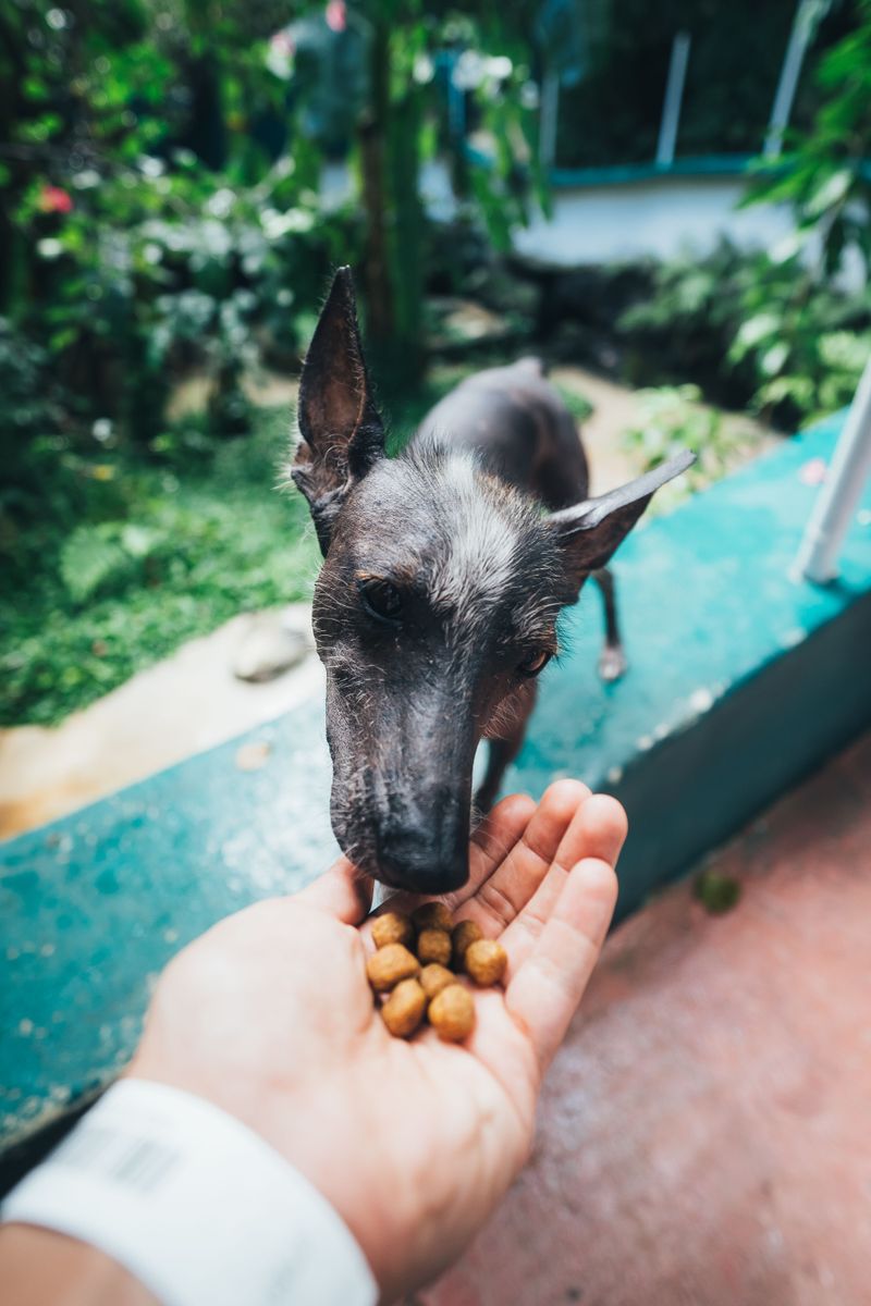 Bring Just One Day of Food