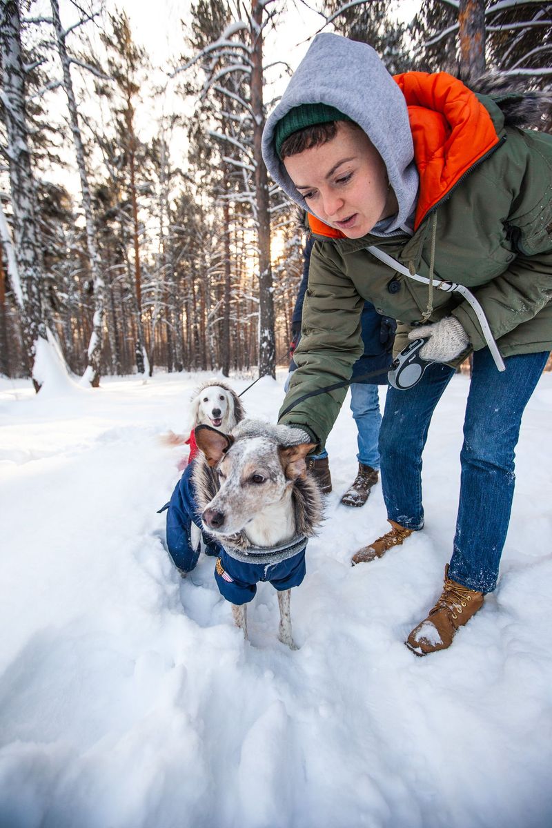 Finish Every Forest Walk With a Check