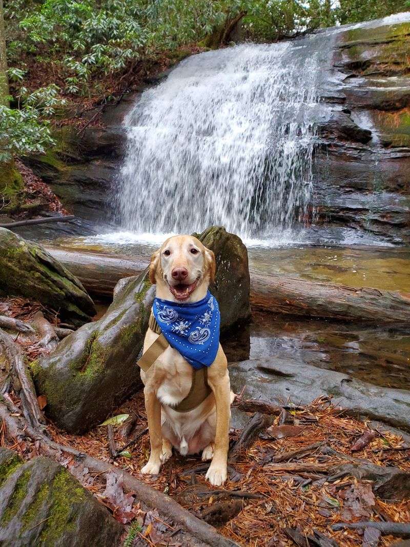 Long Creek Falls: Appalachian Trail Time Near Suches