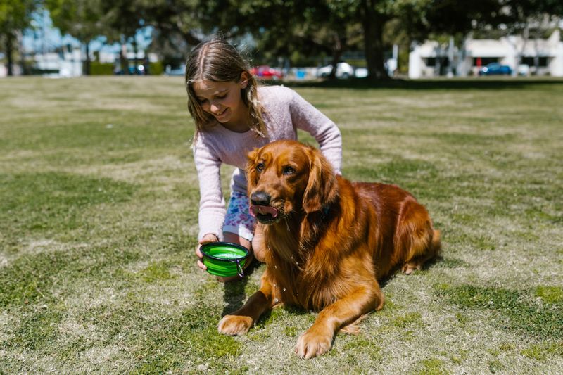 Hang the Travel Water Bowl