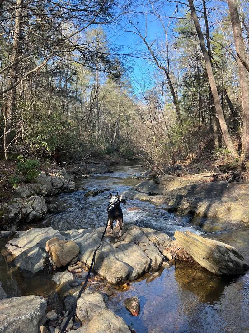 Otter Creek Campground, A Blue Ridge Location Correction