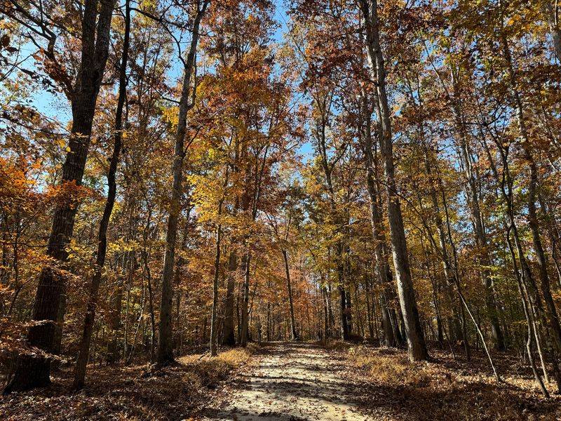 Red Oak Campground at James River State Park, A Comfortable Base