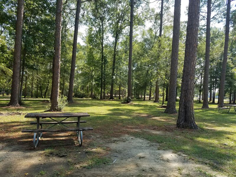 Lakepoint State Park Campground, Eufaula