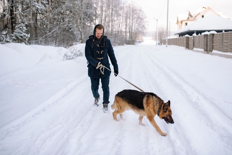 Seasonal Weather Changes the Walking Schedule