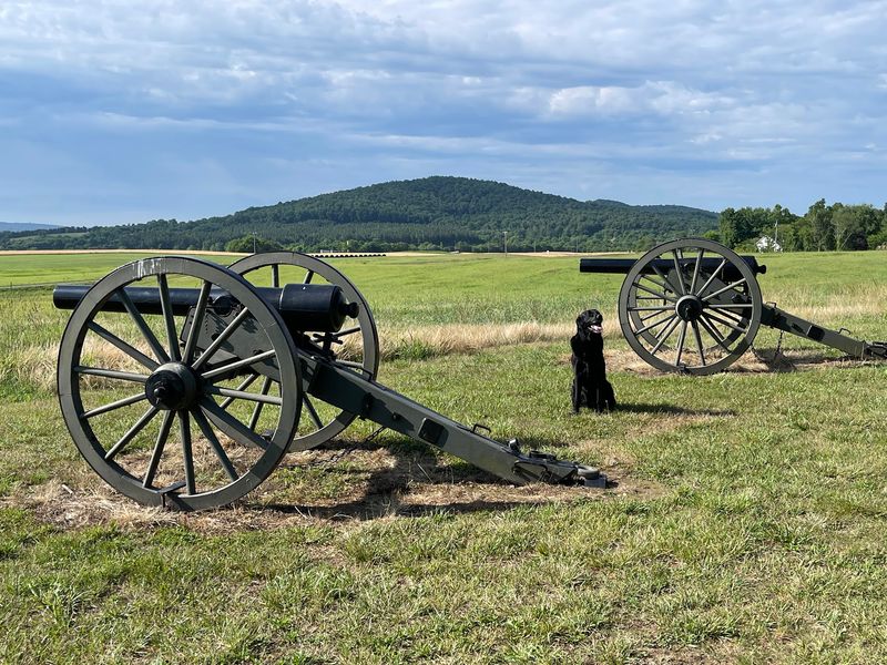 Cedar Mountain Battlefield: A Short Walk With Big Views