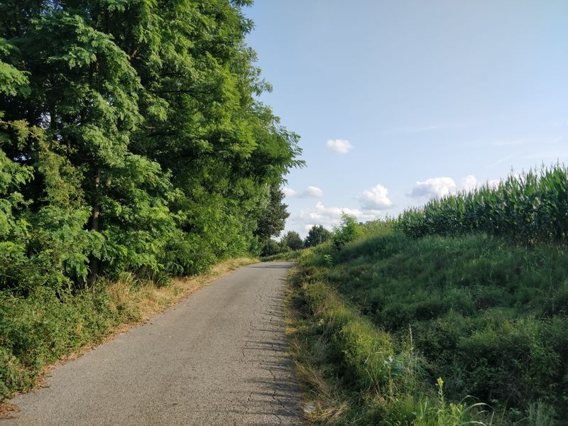 Prepare for Limited Sidewalks and Road Shoulders