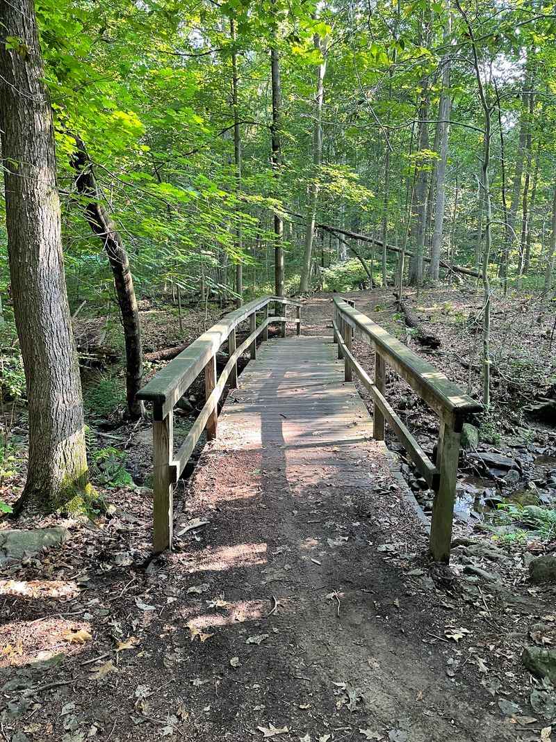 Graham Hill Trail: Follow the Permitted Path