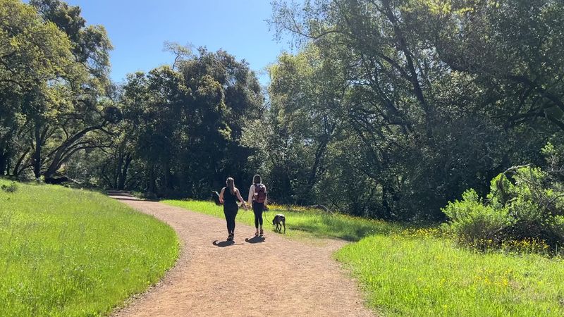 Gold Rush Walks Around California’s Mining Country: Keep Exploring