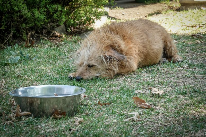Keep Fresh Water Within Reach