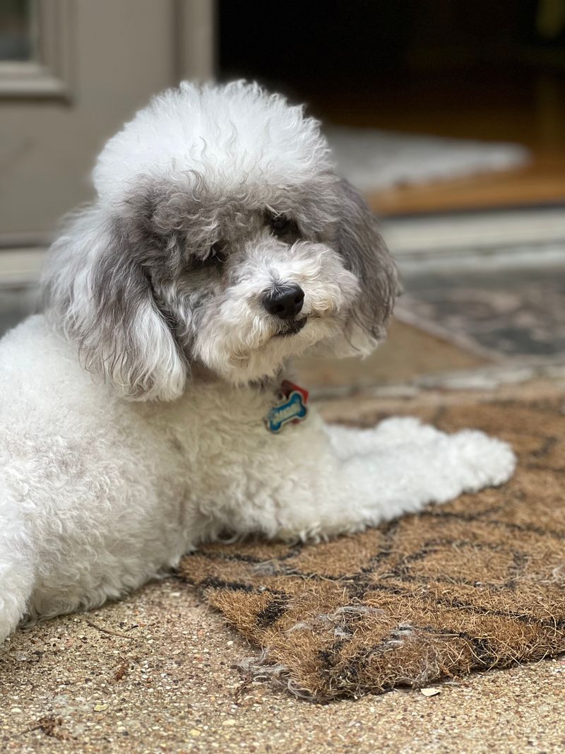 Porch Mats Need More Frequent Washing
