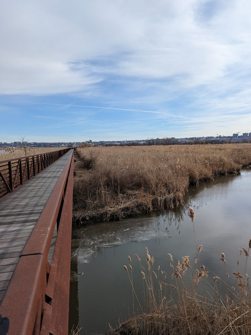 Secaucus Greenway: Follow the Shore at an Easy Pace