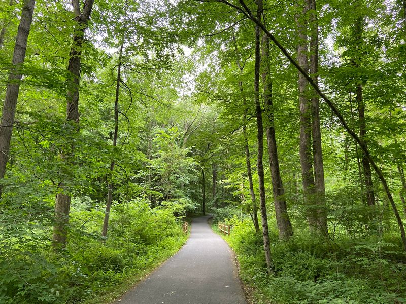 Loantaka Brook Reservation: Follow the Paved Branches