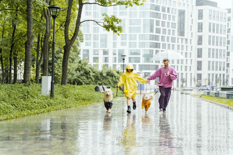 Rainy-Day Potty Trips Require a Faster Return Routine