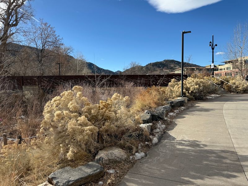 Boulder Creek Path: Enjoy the Shade, Respect the Traffic