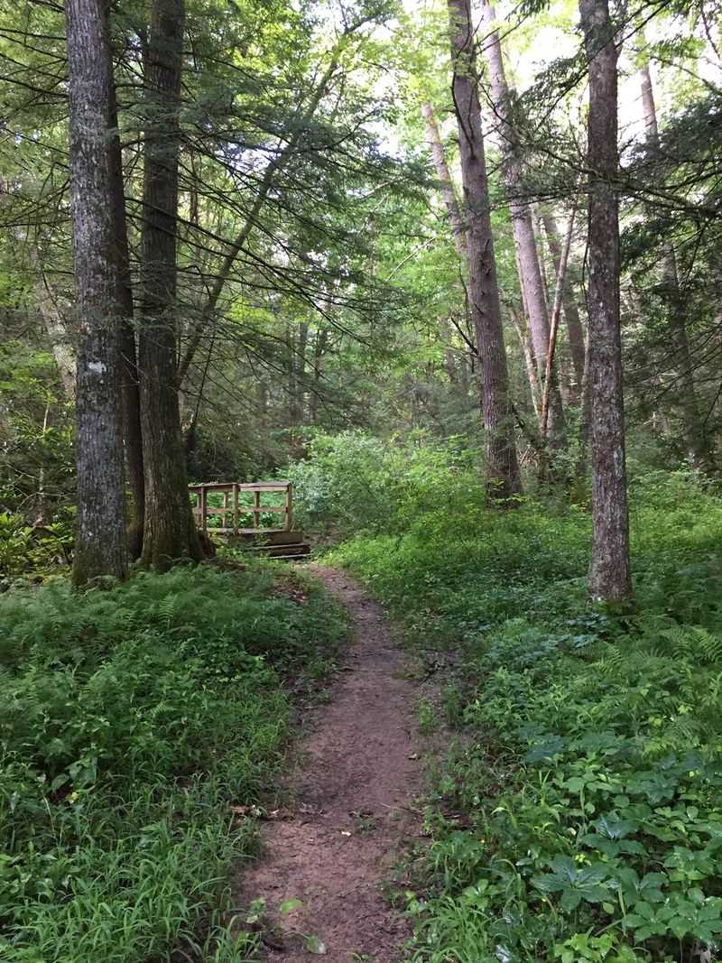 Pocahontas State Park Campground, Plenty of Paths in Chesterfield County
