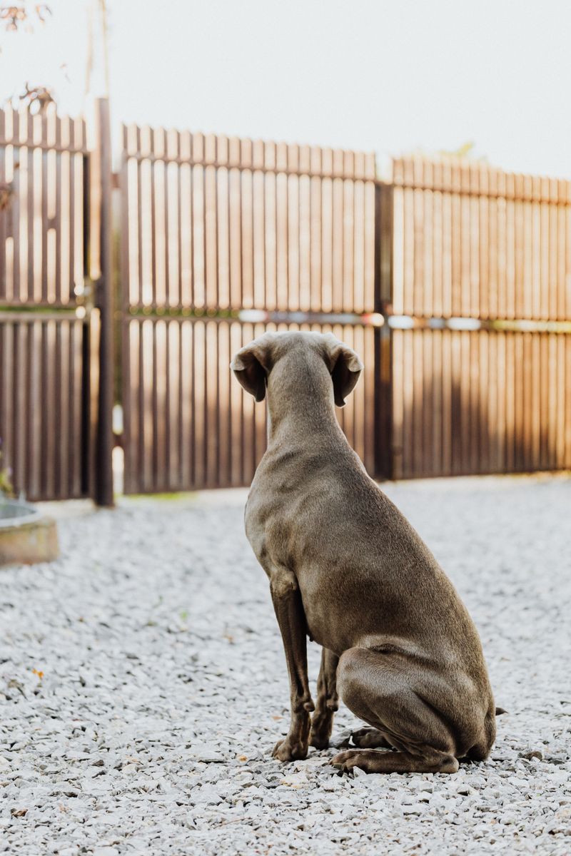 Teach a Solid Wait at Gates