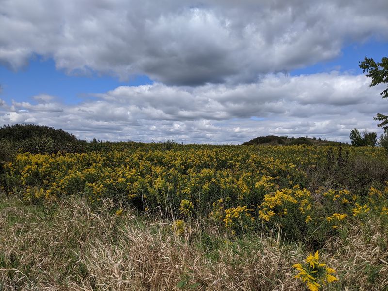 Danada Forest Preserve, Wheaton