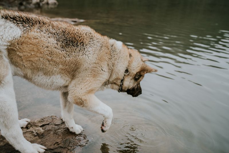 Identify Nearby Water Sources and Their Risks