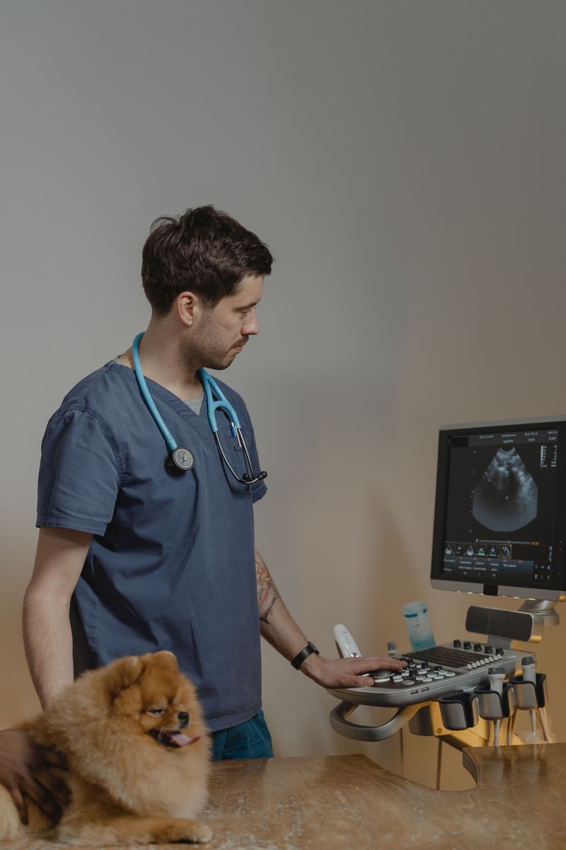 Keep Medical Records Ready for a Referral