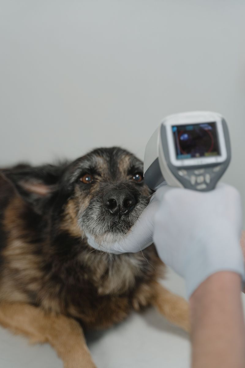 Confirm the Microchip Works