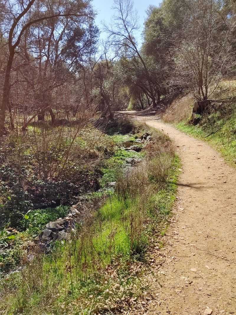 Dragoon Gulch Trail: Add Some Uphill Sniffing