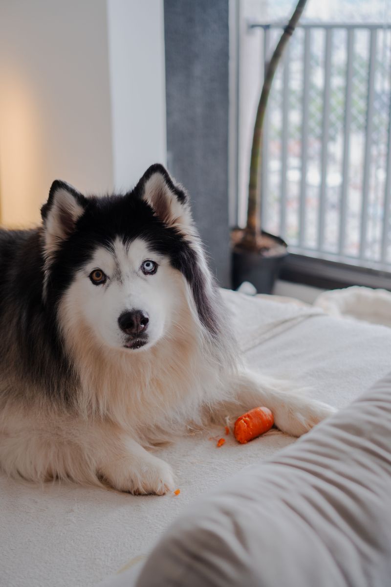 Breed Lists Can Surprise You