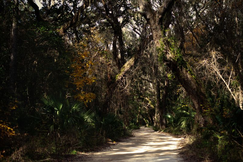 Choose Florida Trails With Shade and Short Routes