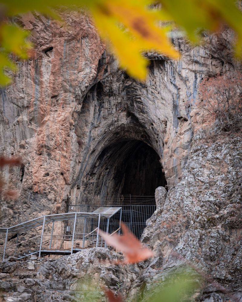 Keep Dogs Away From Cave Entrances