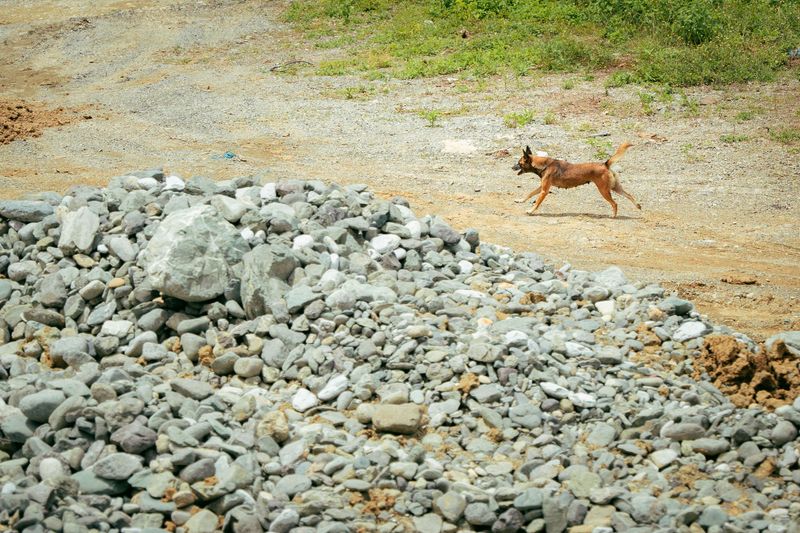 Understand the Dangers of Mine Tailings