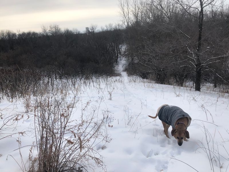 Minnesota Valley State Trail: Follow the River Mood