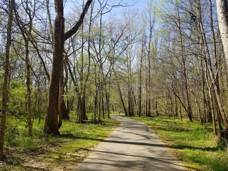 Mallard Creek Greenway, Charlotte: Settle Into the Shade