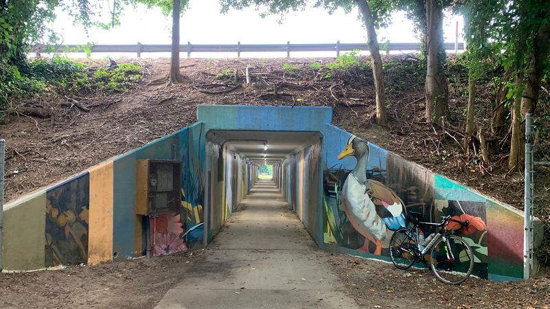 Rocky Branch Trail, Raleigh: Campus Energy Meets Creekside Calm