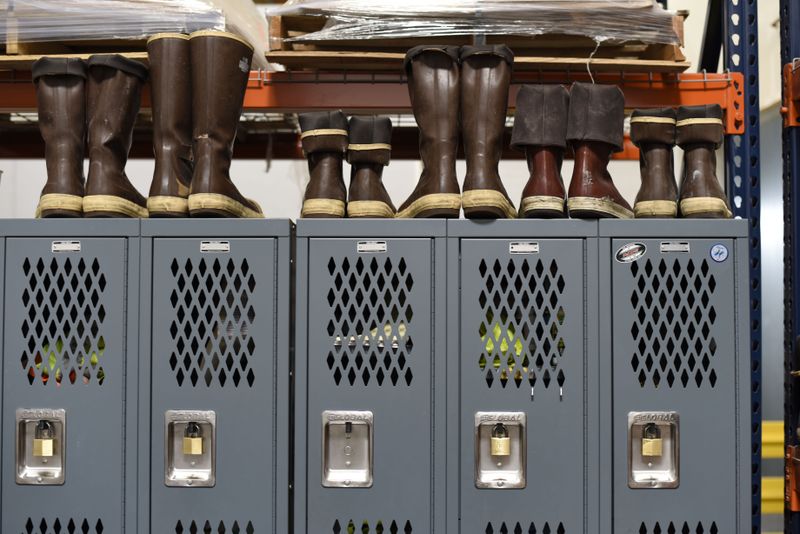 Keep Muddy Boots Away From Your Dog’s Reach